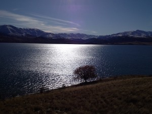 Timaru - Lake Tekapo-035